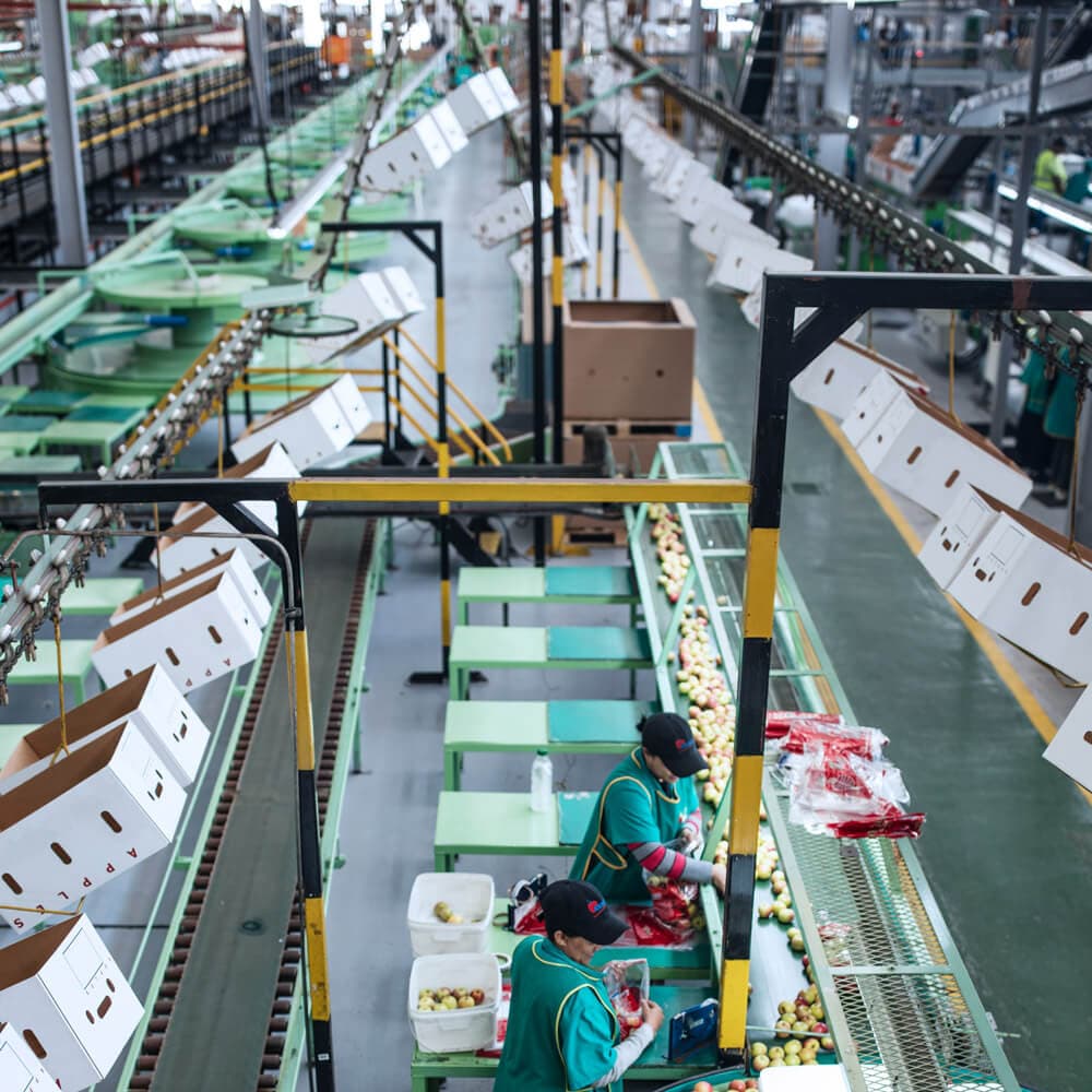 Supply Chain and Market Position